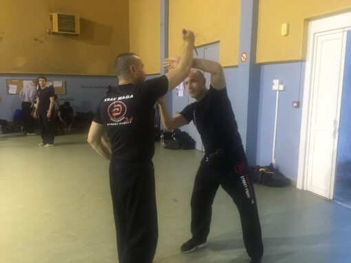 Krav Maga Street fight 34 – Image 4